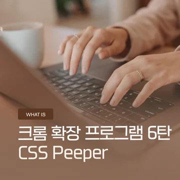 크롬 확장 프로그램 6탄 – CSS Peeper, 홈페이지 디자인 분석하는 방법