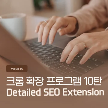 크롬 확장 프로그램 10탄 – Detailed SEO Extension, 홈페이지 SEO 한 번에 분석하는 방법