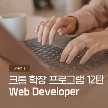 크롬 확장 프로그램 12탄 (마지막) – Web Developer, 홈페이지를 제대로 분석하는 방법